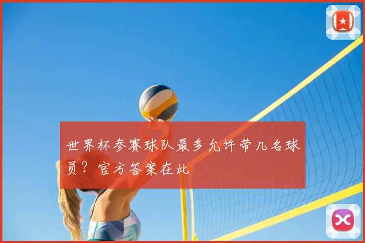 世界杯参赛球队最多允许带几名球员?官方答案在此