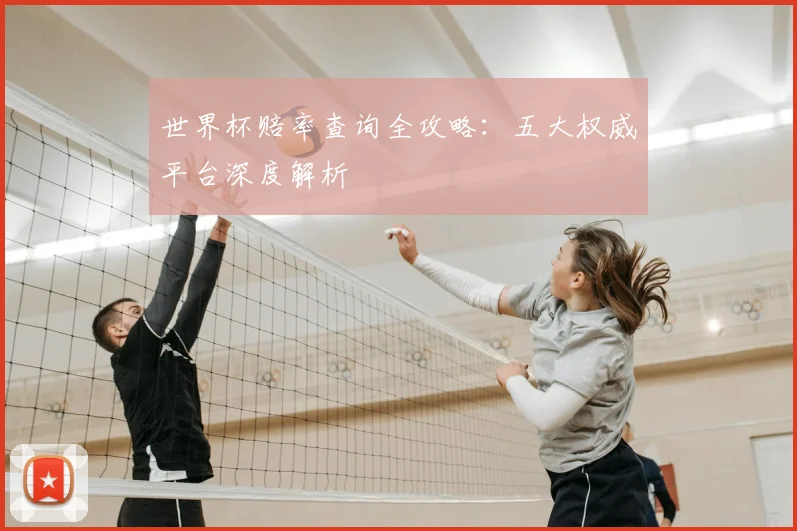 世界杯赔率查询全攻略:五大权威平台深度解析