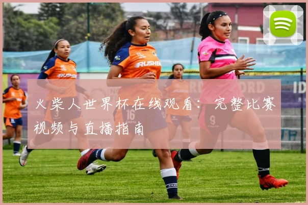 火柴人世界杯在线观看：完整比赛视频与直播指南