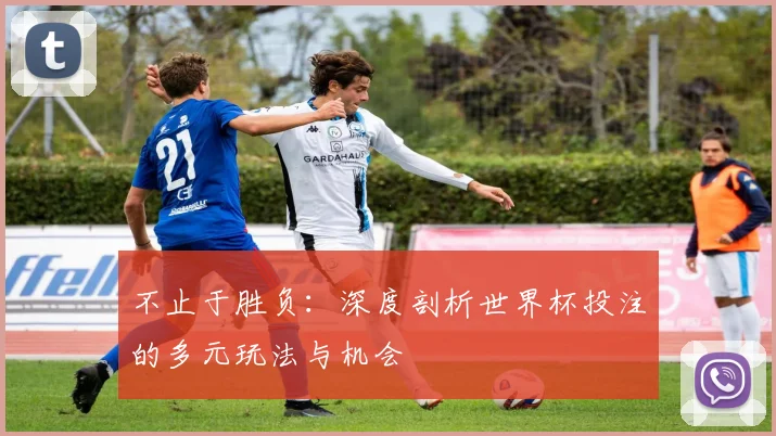 不止于胜负：深度剖析世界杯投注的多元玩法与机会