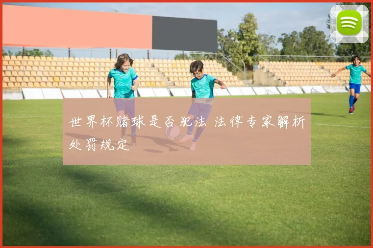 世界杯赌球是否犯法 法律专家解析处罚规定