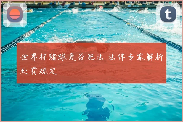 世界杯赌球是否犯法 法律专家解析处罚规定