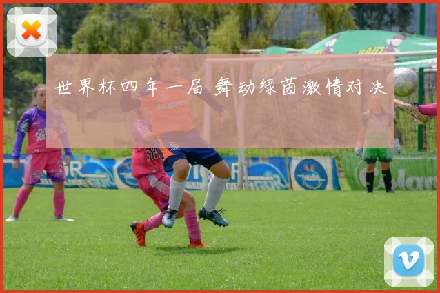 世界杯四年一届 舞动绿茵激情对决