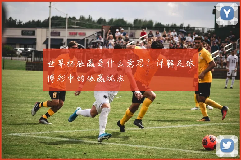 世界杯独赢是什么意思？详解足球博彩中的独赢玩法