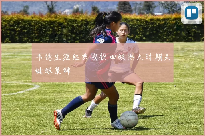 韦德生涯经典战役回顾热火时期关键球集锦