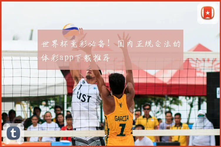 世界杯竞彩必备！国内正规合法的体彩app下载推荐