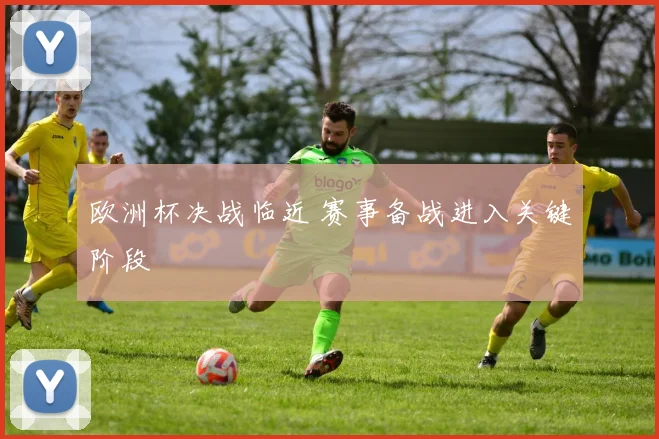 欧洲杯决战临近 赛事备战进入关键阶段