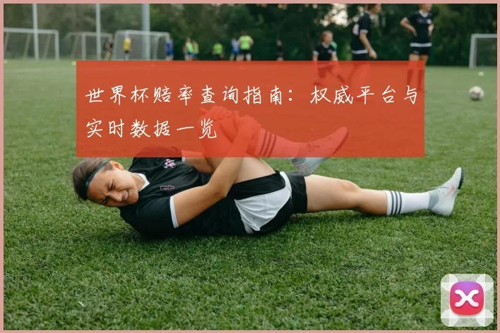 世界杯赔率查询指南:权威平台与实时数据一览