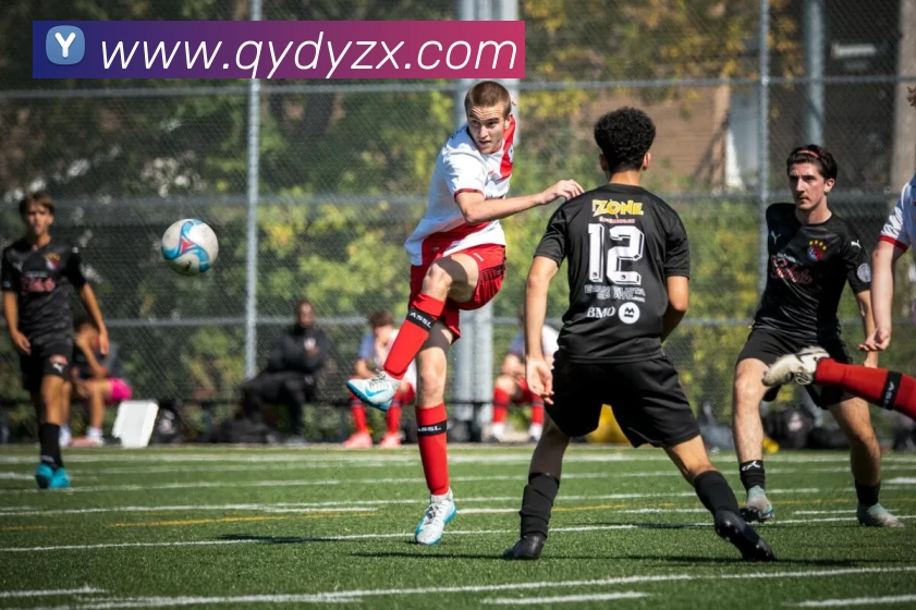 数据防护可视化